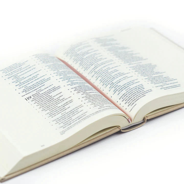 ESV Journaling Bible